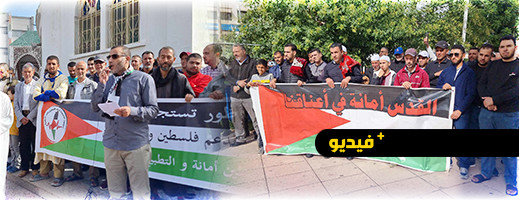  وقفة احتجاجية بالناظور تعبيرا عن التضامن مع الشعب الفلسطيني 