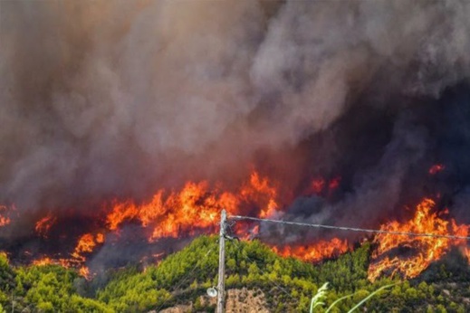 أحرق غابة بأكملها.. السجن النافذ لمتهم باضرام النار بالحسيمة أحرق غابة بأكملها.. السجن النافذ لمتهم باضرام النار بالحسيمة