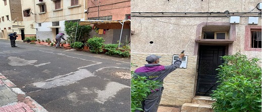 الإبلاغ عن وجود حشرة بق الفراش في المغرب الإبلاغ عن وجود حشرة بق الفراش في المغرب