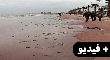 بحيرة مارتشيكا تَتَقَيّـأُ من أحشائها القمامة لتطفو على سطح الكورنيش مع كل هبَّة ريح