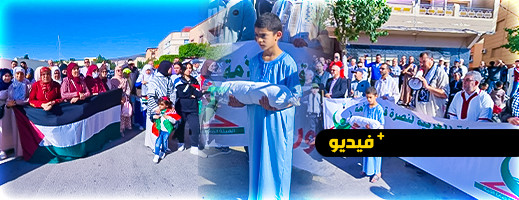 ساكنة الناظور تحتج تضامنا مع الشعب الفلسطيني