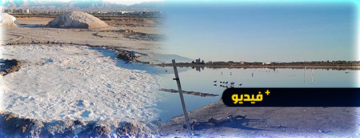 هكذا يتم استخراج الملح بأركمان في أكبر محطة لآلاف الطيور المهاجرة هكذا يتم استخراج الملح بأركمان في أكبر محطة لآلاف الطيور المهاجرة