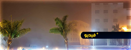 انتشار الضباب بمنطقة الريف يهدد المحاصيل الزراعية انتشار الضباب بمنطقة الريف يهدد المحاصيل الزراعية