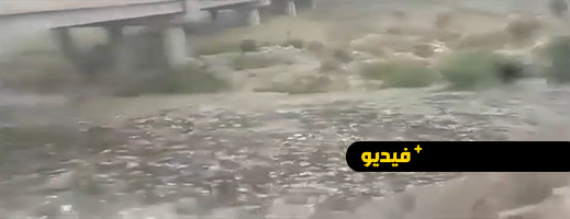 الفيضانات بالجزائر تجرف طفلا متسببة في مصرعه والبحث جار عن شخص آخر الفيضانات بالجزائر تجرف طفلا متسببة في مصرعه والبحث جار عن شخص آخر