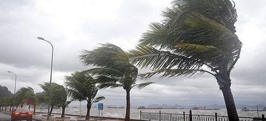 نشرة إنذارية.. رياح عاصفية قوية مع تناثر الغبار مرتقبة بالناظور غدا الجمعة نشرة إنذارية.. رياح عاصفية قوية مع تناثر الغبار مرتقبة بالناظور غدا الجمعة