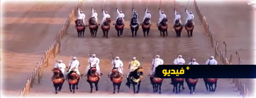 عروض التبوريدة المغربية تبهر رئيس الإمارات عروض التبوريدة المغربية تبهر رئيس الإمارات