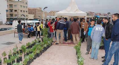 جمعية الحي العمالي للتنمية والبيئة بأزغنغان تنظم معرضا للنباتات