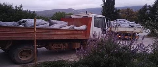 نهب الثروة الغابوية بالناظور أمام عجز السلطات المعنية عن حمايتها نهب الثروة الغابوية بالناظور أمام عجز السلطات المعنية عن حمايتها