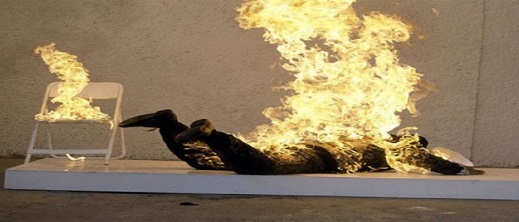 مهاجر مغربي يضرم النار في نفسه داخل مقر البلدية