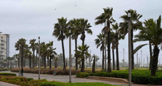 نشرة إنذارية.. رياح قوية وتطاير الغبار بالناظور يوم غد الأربعاء نشرة إنذارية.. رياح قوية وتطاير الغبار بالناظور يوم غد الأربعاء