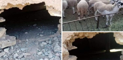 صورة من الأرشيف صورة من الأرشيف