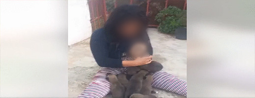 امرأة تثير الجدل بإرضاعها لكلاب والدرك الملكي يدخل على الخط امرأة تثير الجدل بإرضاعها لكلاب والدرك الملكي يدخل على الخط