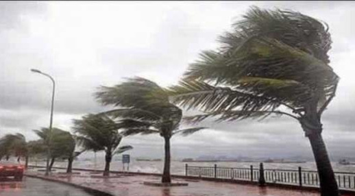 برد وصقيع.. هذه حالة الطقس المتوقعة غدا بالريف برد وصقيع.. هذه حالة الطقس المتوقعة غدا بالريف