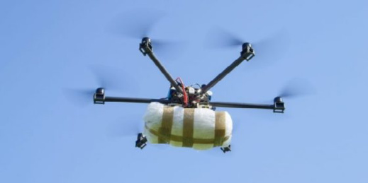 الدرك يفشل عملية تهريب كمية هامة من القرقوبي عبر طائرة درون من مليلية إلى الناظور الدرك يفشل عملية تهريب كمية هامة من القرقوبي عبر طائرة درون من مليلية إلى الناظور