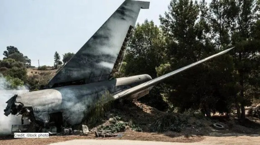 صورة بعدسة: intellivoire صورة بعدسة: intellivoire