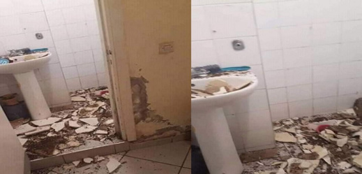 الصورة من الأرشيف الصورة من الأرشيف