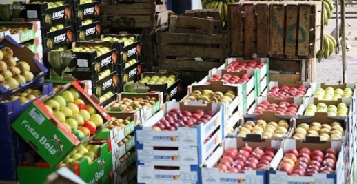 الخضر والفواكه المغربية تخلق الجدل بين الفلاحين الإسبان والفرنسيين الخضر والفواكه المغربية تخلق الجدل بين الفلاحين الإسبان والفرنسيين