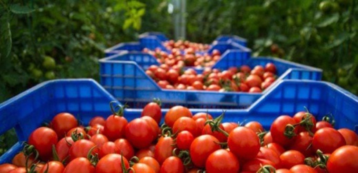 مطالب حزبية في إسبانيا بوقف الاتفاق الفلاحي مع المغرب مطالب حزبية في إسبانيا بوقف الاتفاق الفلاحي مع المغرب