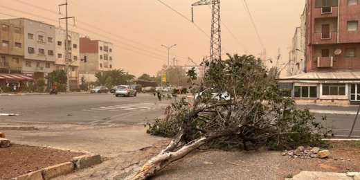 هبوب رياح قوية بعدد من مناطق المملكة اليوم الثلاثاء