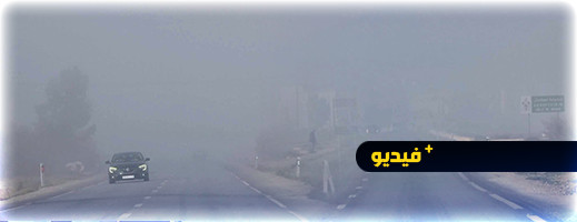 ضباب كثيف يعرقل حركة المرور بين الدريوش وميضار ضباب كثيف يعرقل حركة المرور بين الدريوش وميضار