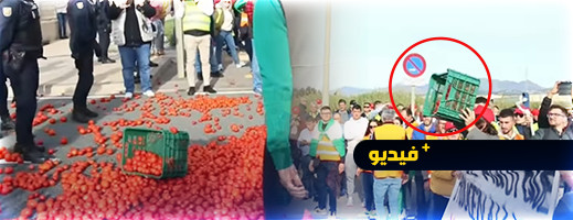 للمرة الثانية.. المزارعون الإسبان يعترضون شاحنة طماطم مغربية ويتلفون محتوياتها للمرة الثانية.. المزارعون الإسبان يعترضون شاحنة طماطم مغربية ويتلفون محتوياتها