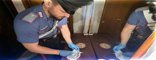 تفكيك شبكة لتهريب المخدرات تقودها عائلة مغربية تفكيك شبكة لتهريب المخدرات تقودها عائلة مغربية