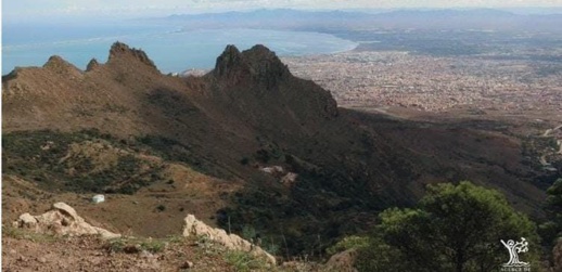 الناظور المغرب الفائز.. كتاب يكشف عوالم منطقة منسية بجذور عميقة الناظور المغرب الفائز.. كتاب يكشف عوالم منطقة منسية بجذور عميقة