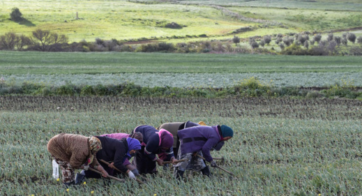 توقيع اتفاقية إطار للنهوض بأوضاع المرأة العاملة في القطاع غير المهيكل والفئات في وضعية هشة توقيع اتفاقية إطار للنهوض بأوضاع المرأة العاملة في القطاع غير المهيكل والفئات في وضعية هشة
