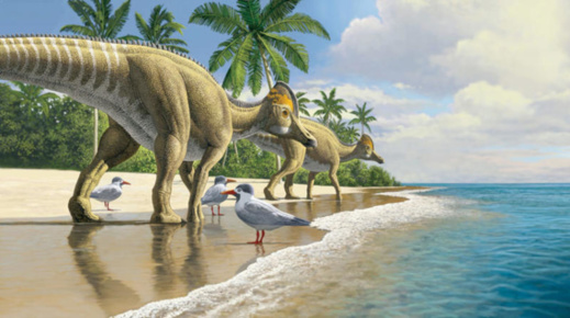 معبرة معبرة