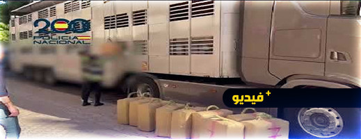 ضبط قرابة نصف طن من مخدر الحشيش داخل شاحنة لنقل الحيوانات على مشارف ألميريا ضبط قرابة نصف طن من مخدر الحشيش داخل شاحنة لنقل الحيوانات على مشارف ألميريا