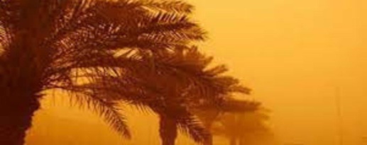 نشرة إنذارية.. رياح قوية وغبار بالناظور يوم غد الأحد نشرة إنذارية.. رياح قوية وغبار بالناظور يوم غد الأحد