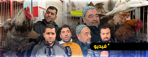يتجاوز 100 درهم.. سعر الدجاج البلدي بالناظور ينذر بتراجع الإقبال عليه يتجاوز 100 درهم.. سعر الدجاج البلدي بالناظور ينذر بتراجع الإقبال عليه