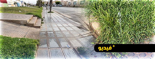 في عز الجفاف.. أطنان من الماء الشروب تهدر بشوارع الناظور طيلة يومين دون توقف في عز الجفاف.. أطنان من الماء الشروب تهدر بشوارع الناظور طيلة يومين دون توقف