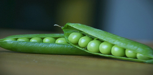 بعد انتشار مقطع فيديو.. هذه حقيقة مزاعم حول سلامة "الجلبانة" المغربية في إسبانيا بعد انتشار مقطع فيديو.. هذه حقيقة مزاعم حول سلامة "الجلبانة" المغربية في إسبانيا