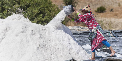 يباع بدرهم واحد.. الحكومة تحدد شروطا جديدة لجودة هذه المادة الغذائية يباع بدرهم واحد.. الحكومة تحدد شروطا جديدة لجودة هذه المادة الغذائية