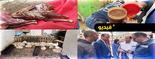 حجز دجاج ميت ومواد غذائية فاسدة.. سلطات الناظور تشن حملة على الأسواق حجز دجاج ميت ومواد غذائية فاسدة.. سلطات الناظور تشن حملة على الأسواق