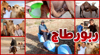 الفلاحة وتربية الإبل بقبيلة بوجدار إقليم الناظور بين الاستثمار ومشاكل الفلاحيين الفلاحة وتربية الإبل بقبيلة بوجدار إقليم الناظور بين الاستثمار ومشاكل الفلاحيين