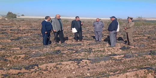 الداخلية تحصن الأراضي السلالية من السطو الداخلية تحصن الأراضي السلالية من السطو