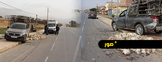بسبب قلة النوم.. انقلاب سيارة نقل دجاج ضواحي الناظور يسفر عن إصابة شخصين بسبب قلة النوم.. انقلاب سيارة نقل دجاج ضواحي الناظور يسفر عن إصابة شخصين