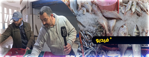 أرخصها السردين بـ 25 درهما.. الحسيمة نار غلاء أسعار السمك تلتهب أرخصها السردين بـ 25 درهما.. الحسيمة نار غلاء أسعار السمك تلتهب