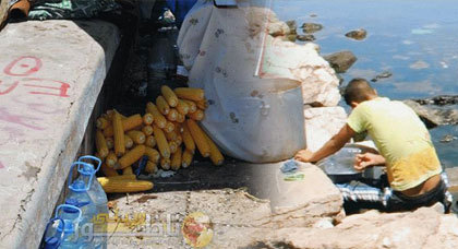 الصورة من الأرشيف