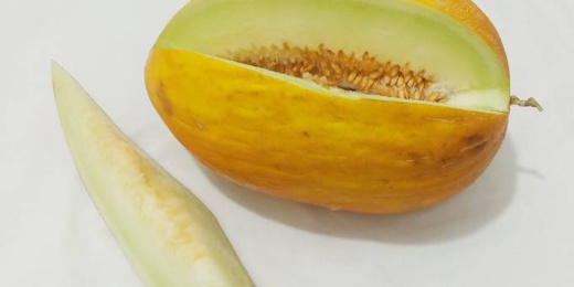 السلطات الأوروبية تحذر من احتواء بطيخ مغربي على مبيد حشري محظور السلطات الأوروبية تحذر من احتواء بطيخ مغربي على مبيد حشري محظور