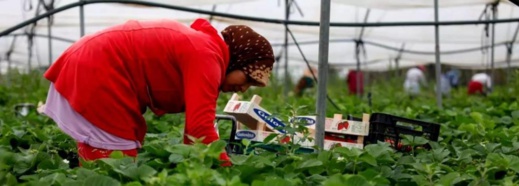 صاحب ضيعة يهدد عاملات مغربيات بإسبانيا بسبب شكاية صاحب ضيعة يهدد عاملات مغربيات بإسبانيا بسبب شكاية