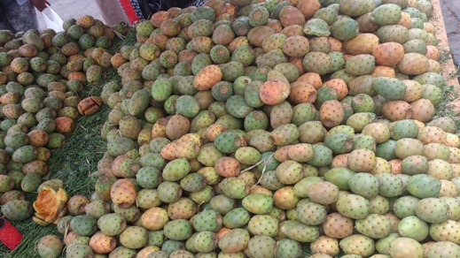 فاكهة "الهندية" تغيب عن الأسواق صيف هذه السنة فاكهة "الهندية" تغيب عن الأسواق صيف هذه السنة