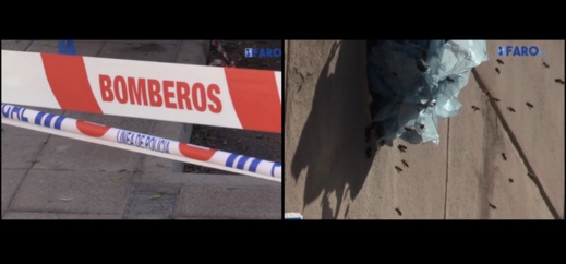 شاهد.. النحل يغلق شارع وسط مدينة مليلية شاهد.. النحل يغلق شارع وسط مدينة مليلية