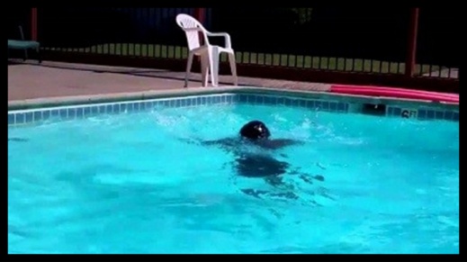 ليلة حمراء تنتهي بكارثة: وفاة شابة في مسبح فيلا ليلة حمراء تنتهي بكارثة: وفاة شابة في مسبح فيلا