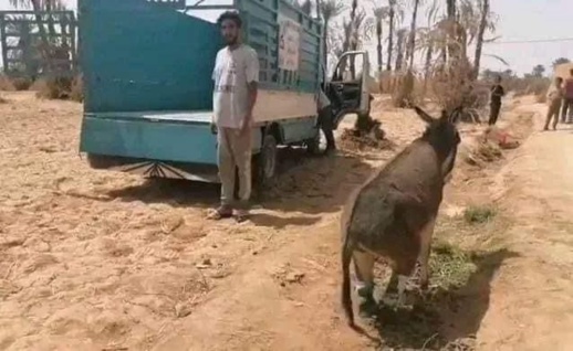 شاهد.. الحمار المعتدى عليه يُنقل إلى مراكش لتلقي العلاج