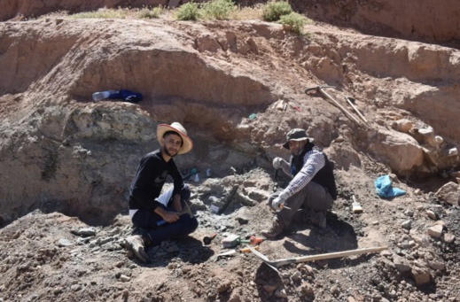 بالصور.. اكتشاف ديناصور مدرع وعاشب في المغرب يعود لـ165 مليون سنة بالصور.. اكتشاف ديناصور مدرع وعاشب في المغرب يعود لـ165 مليون سنة