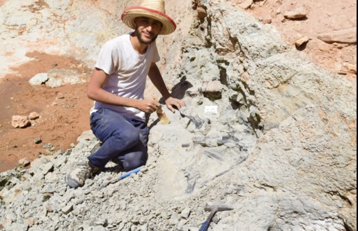 بالصور.. اكتشاف ديناصور مدرع وعاشب في المغرب يعود لـ165 مليون سنة بالصور.. اكتشاف ديناصور مدرع وعاشب في المغرب يعود لـ165 مليون سنة