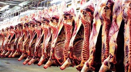 مراسلة إلى عمالات وأقاليم المغرب لسحب نوع من اللحوم المحولة المستوردة من هولندا